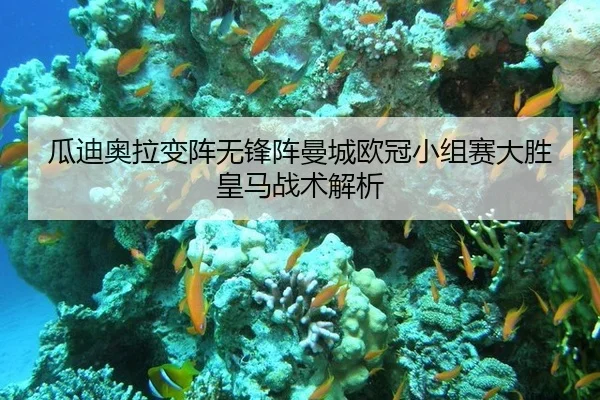 瓜迪奥拉变阵无锋阵曼城欧冠小组赛大胜皇马战术解析