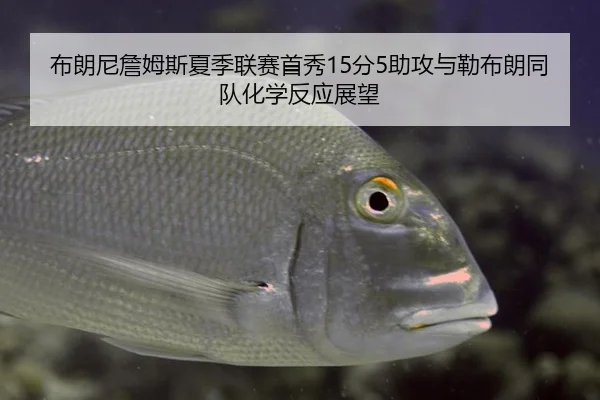 布朗尼詹姆斯夏季联赛首秀15分5助攻与勒布朗同队化学反应展望